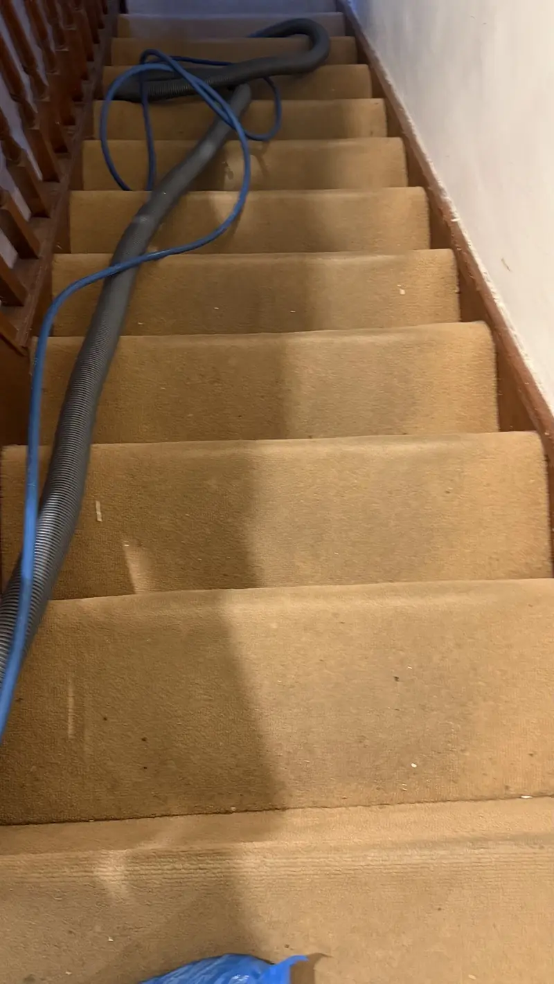 Carpet Cleaning in Harrow & London by Gold Standard Steam
