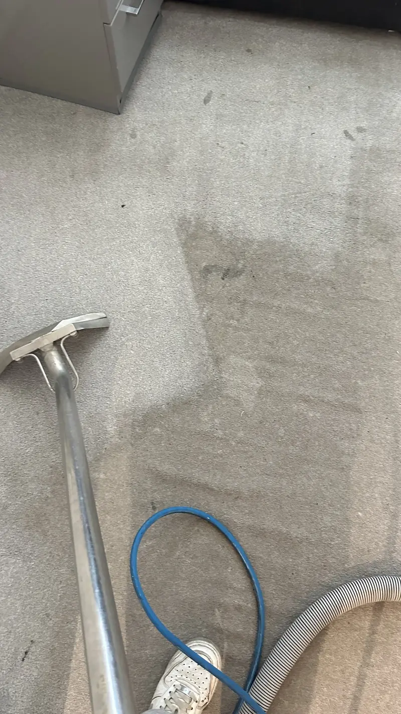 The extraction wand on a carpet, the cleaned half visibly lighter than the soiled half