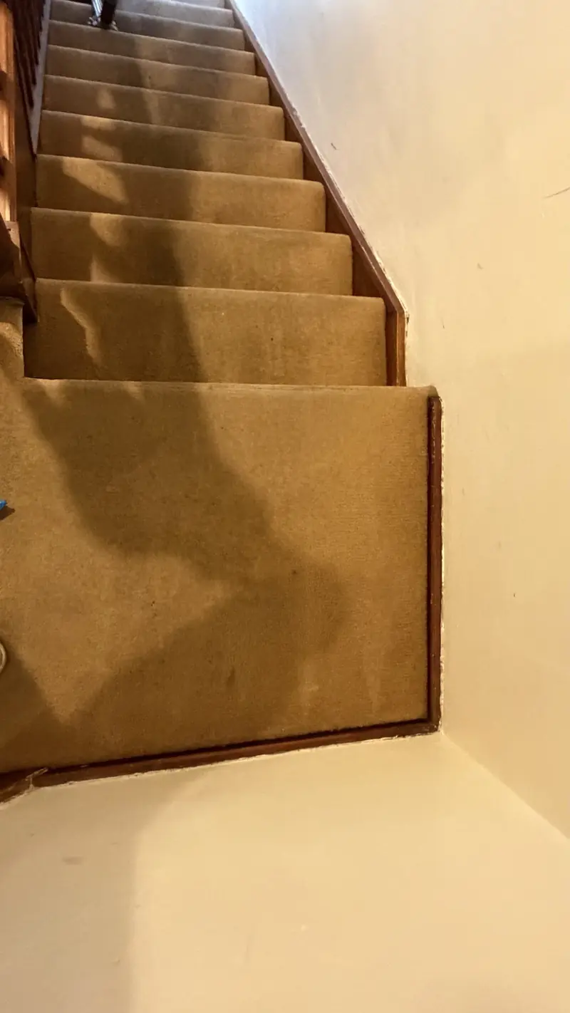 Gold Standard Steam cleaning in Pinner