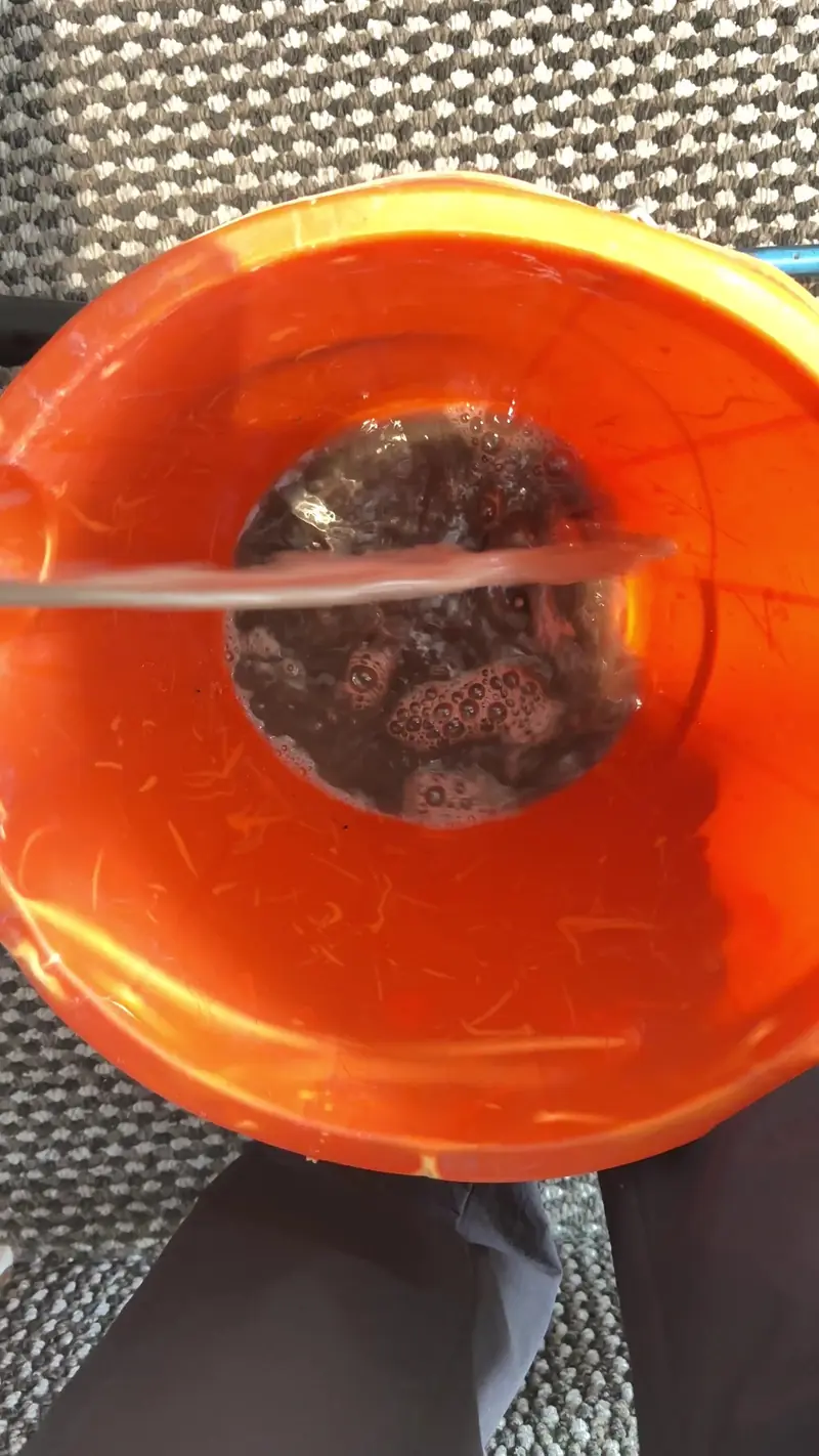 Dirty water being emptied from the extraction machine after a carpet clean
